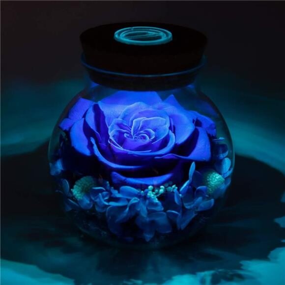 Preserved Real Roses with Colorful Mood Light Wishing Bottle, Eternal - Picture 13 of 14